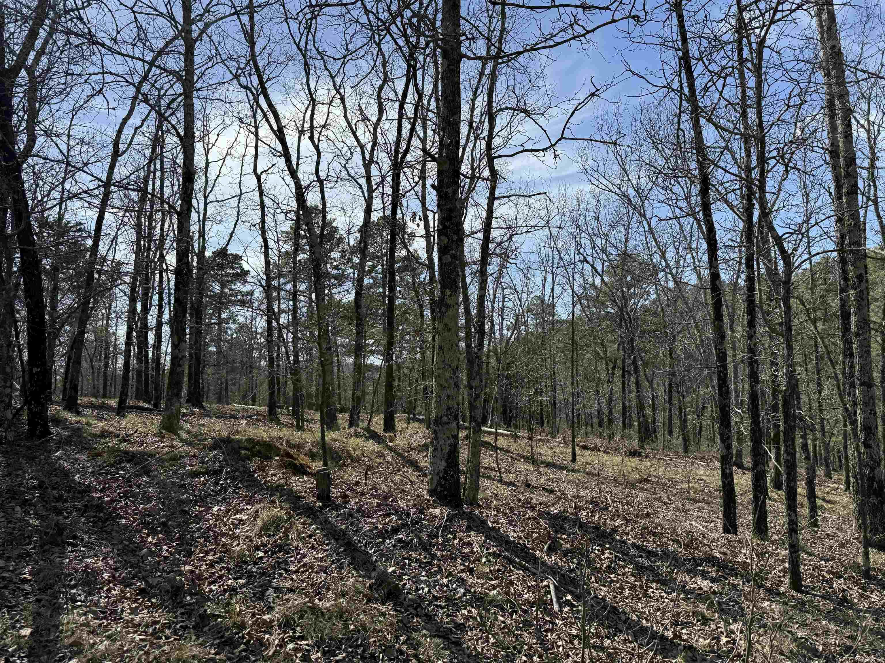 TBD Sangster  Hot Springs, AR