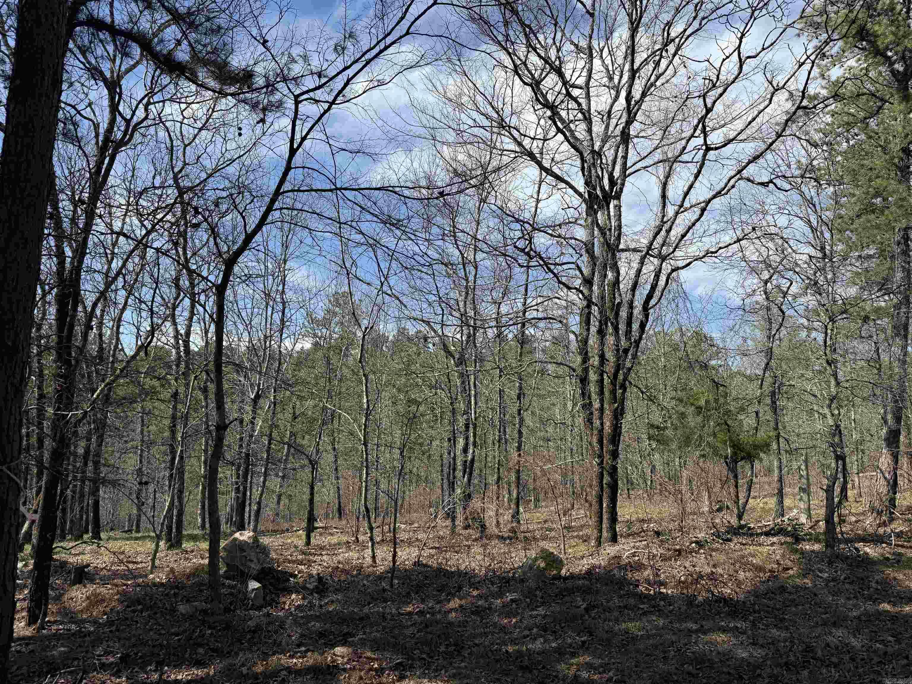 TBD Sangster  Hot Springs, AR