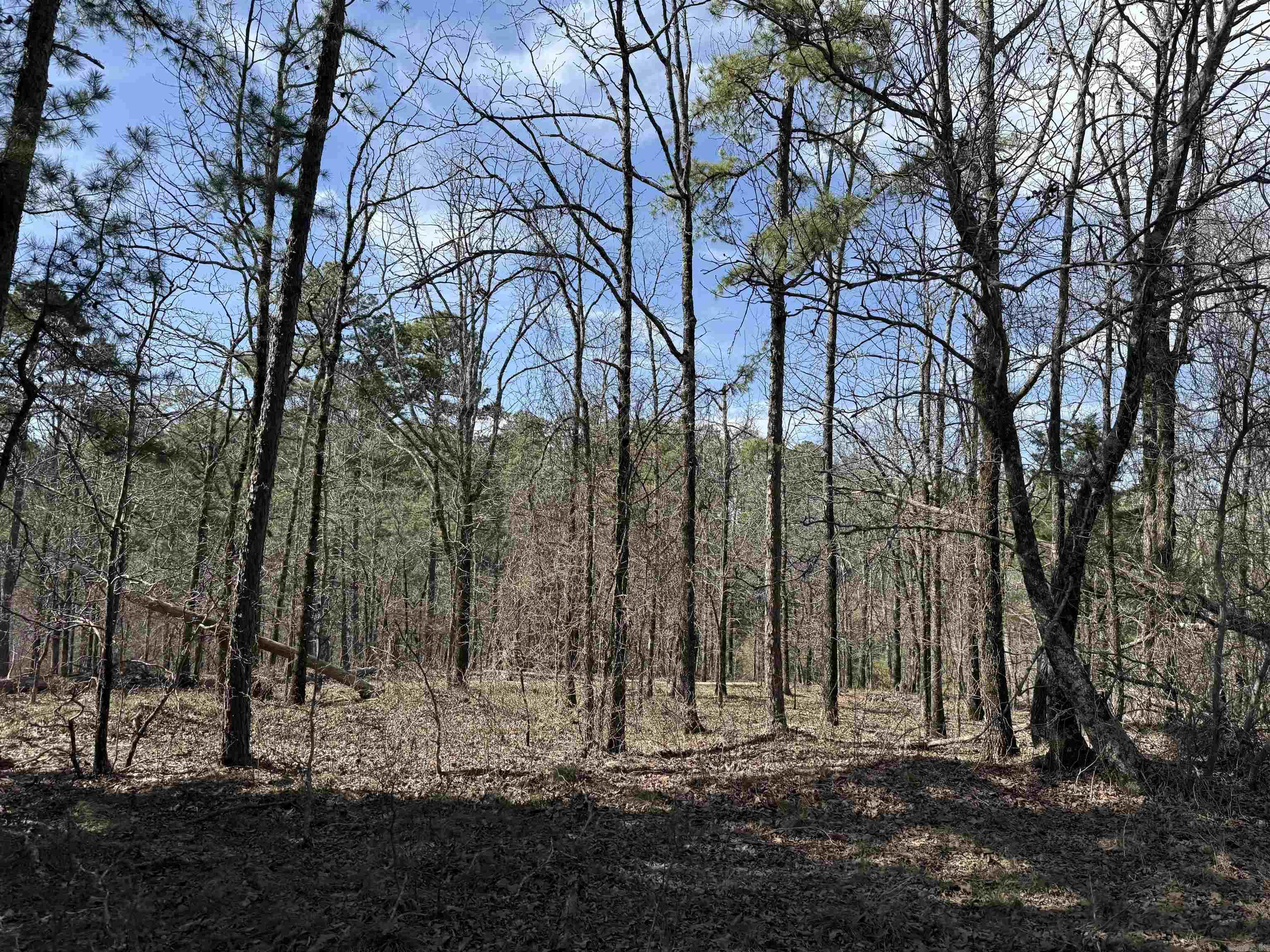 TBD Sangster  Hot Springs, AR