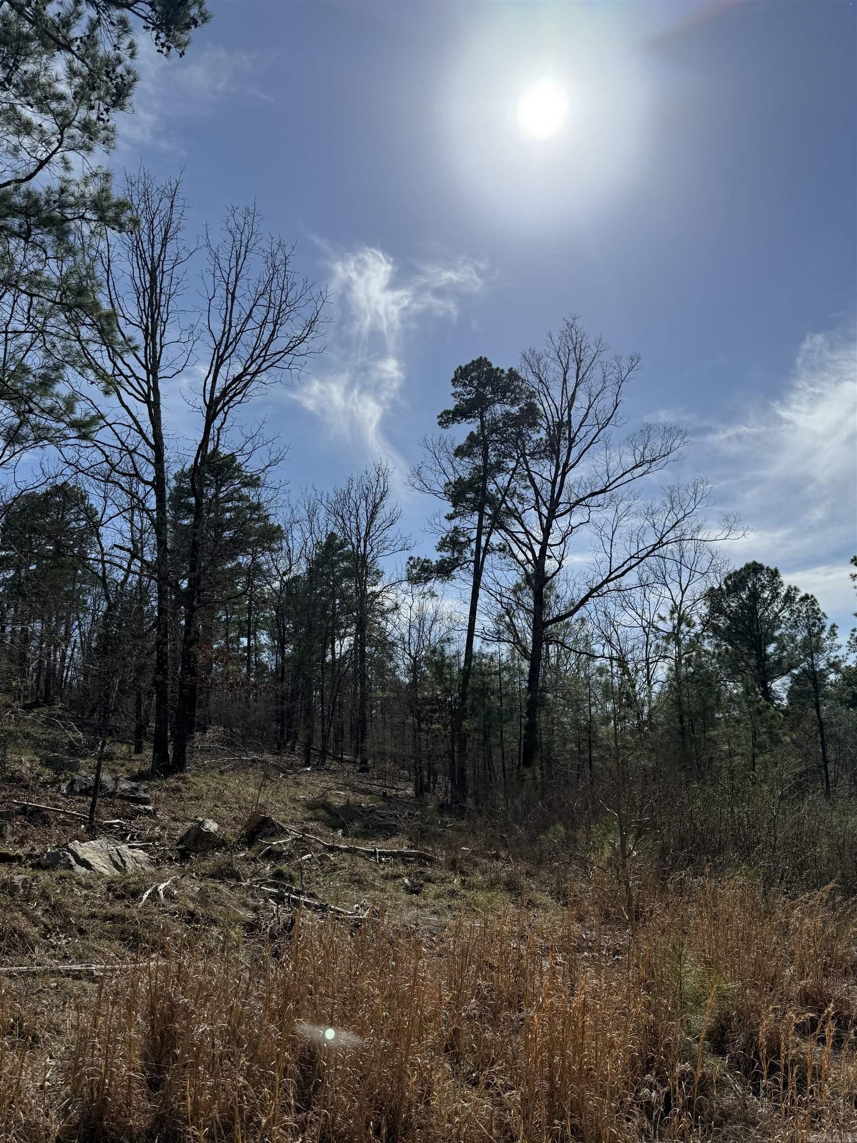 TBD Sangster  Hot Springs, AR