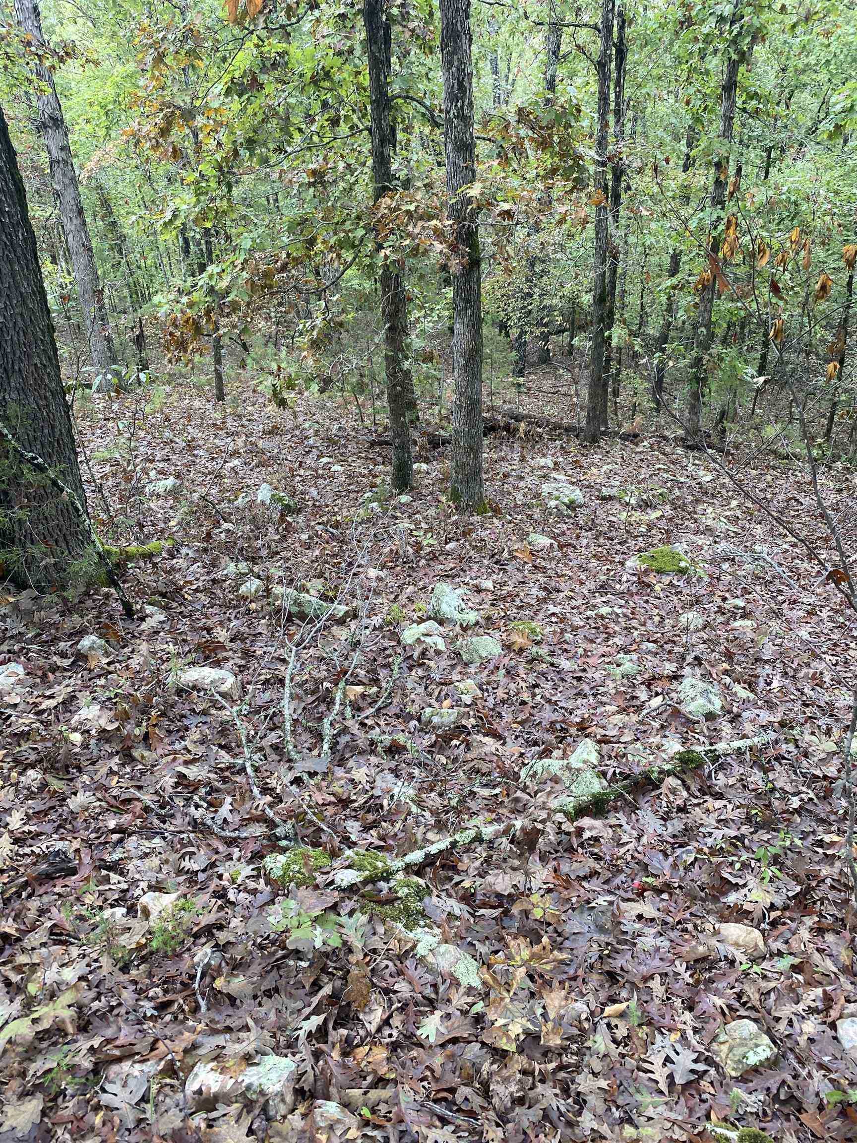 150 Lofton Road  Calico Rock, AR