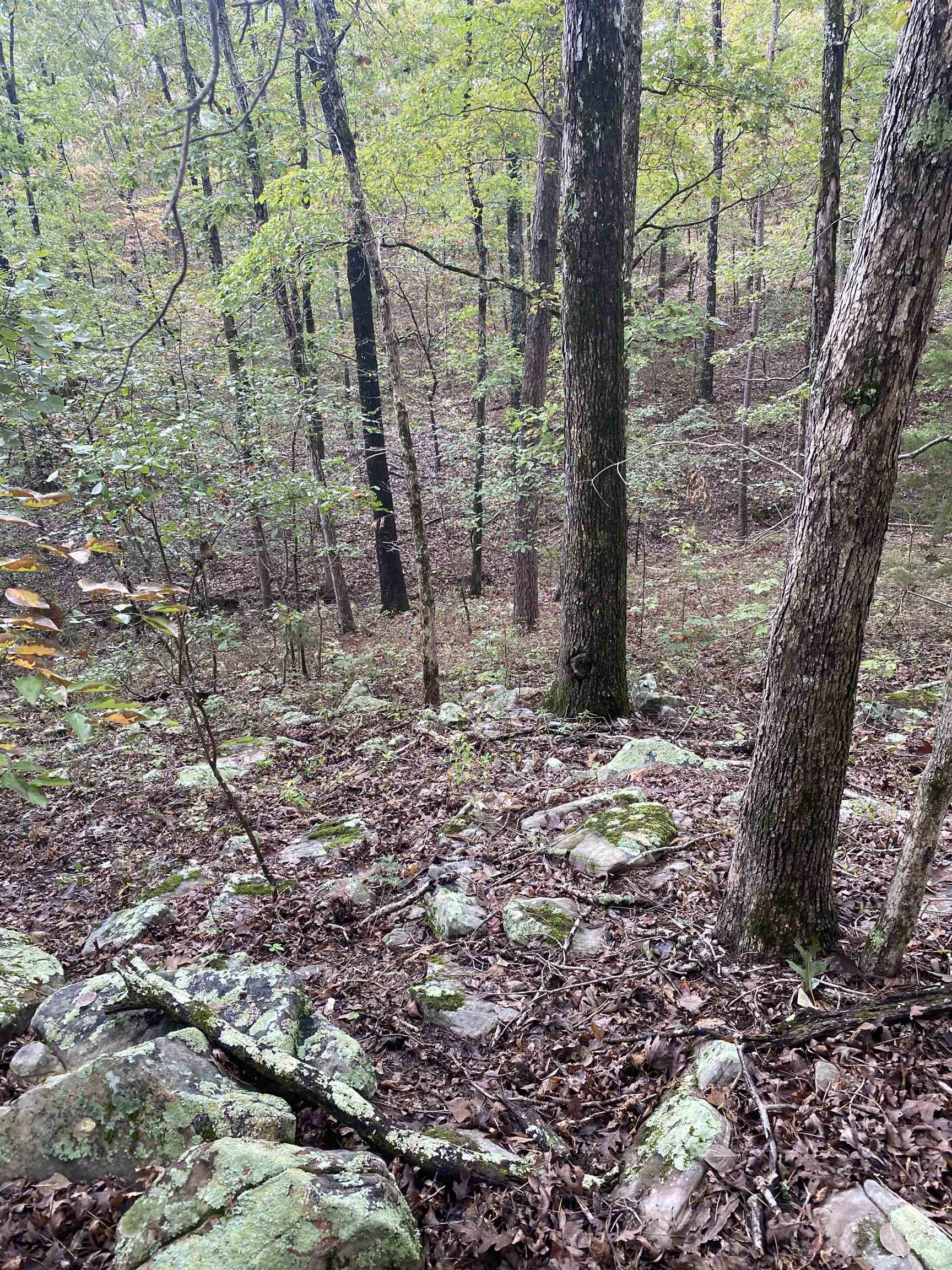 150 Lofton Road  Calico Rock, AR