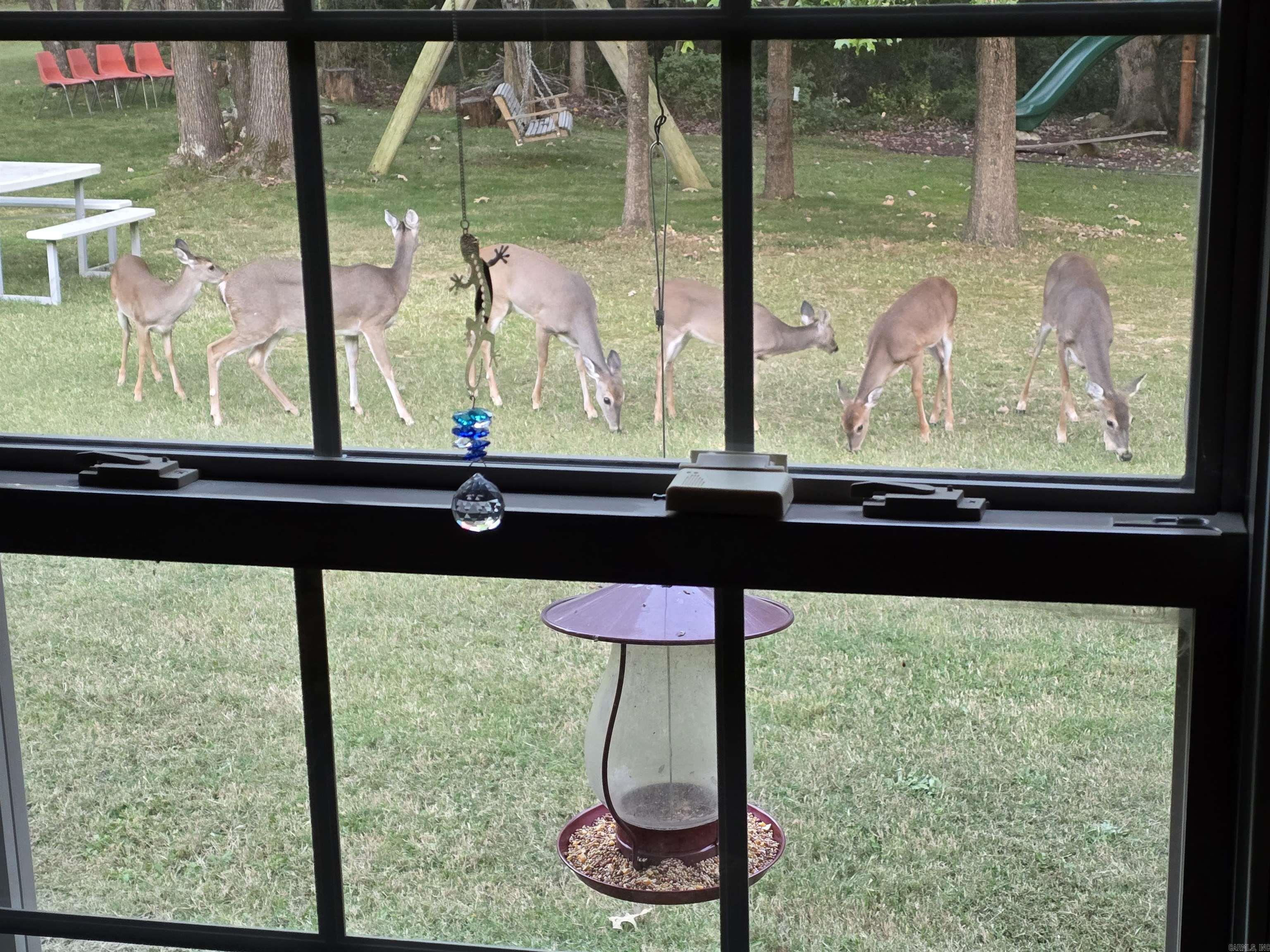 71 Greene 648 Road  Paragould, AR