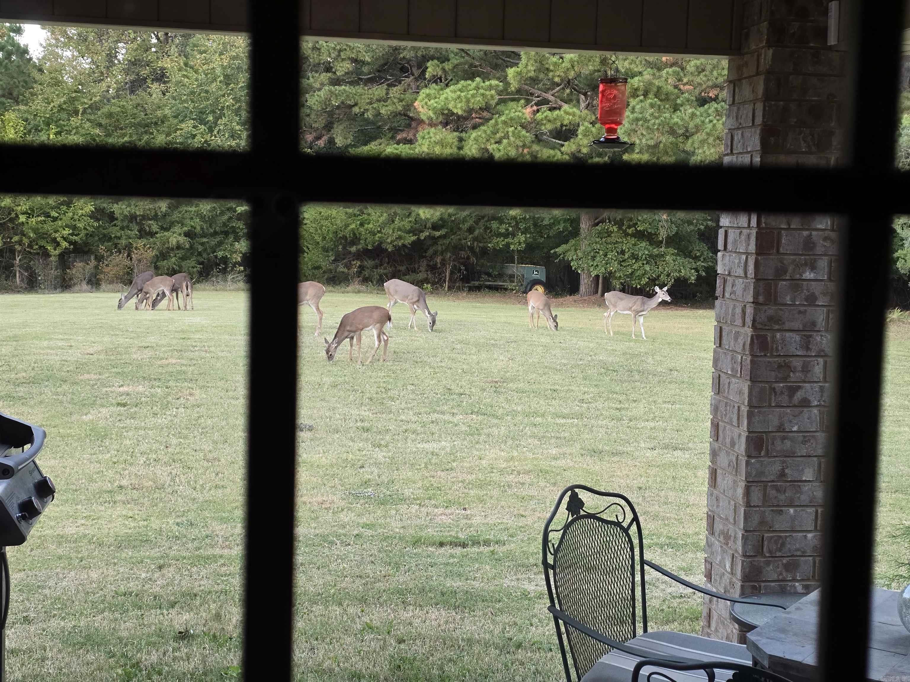 71 Greene 648 Road  Paragould, AR