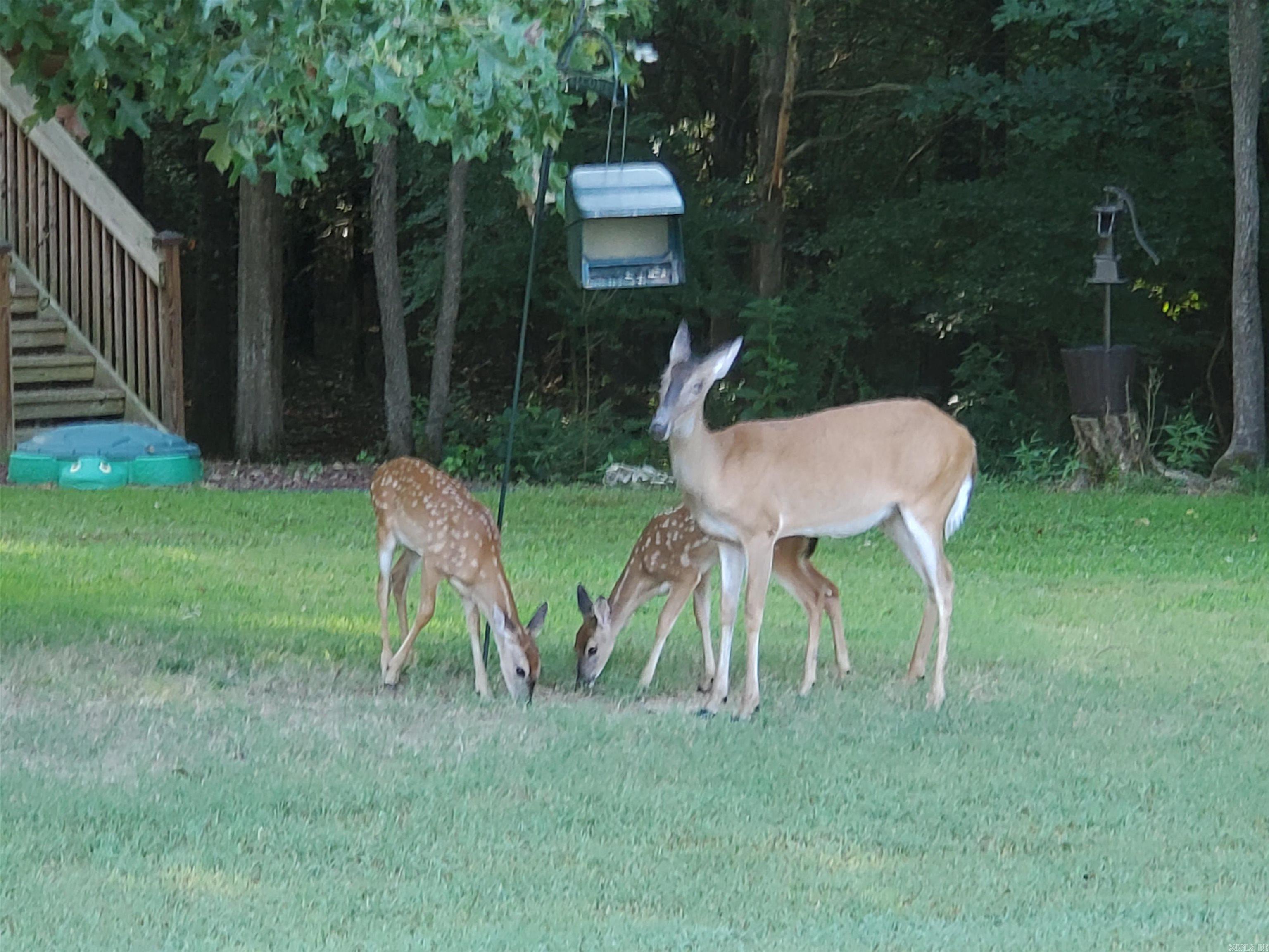 71 Greene 648 Road  Paragould, AR