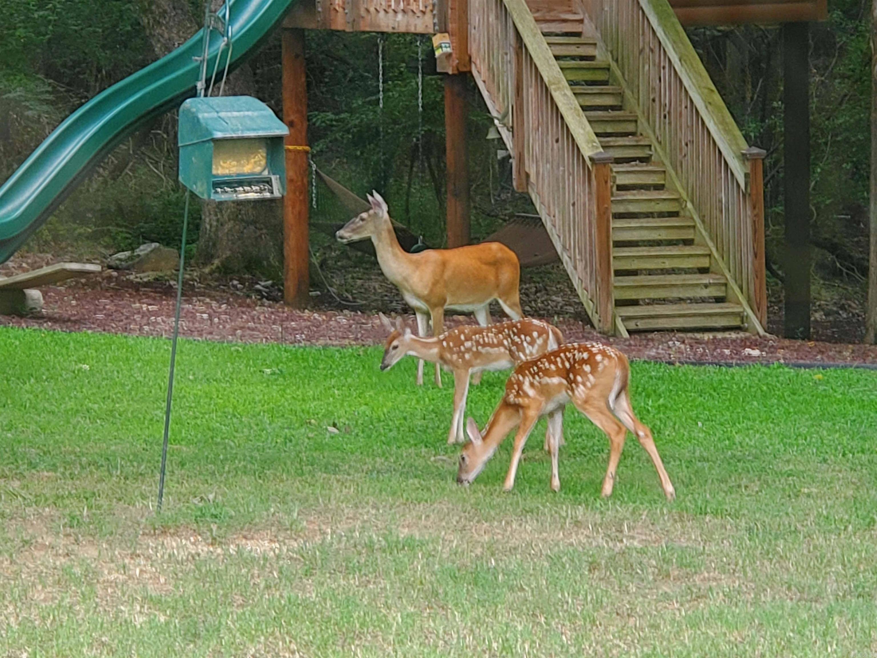 71 Greene 648 Road  Paragould, AR