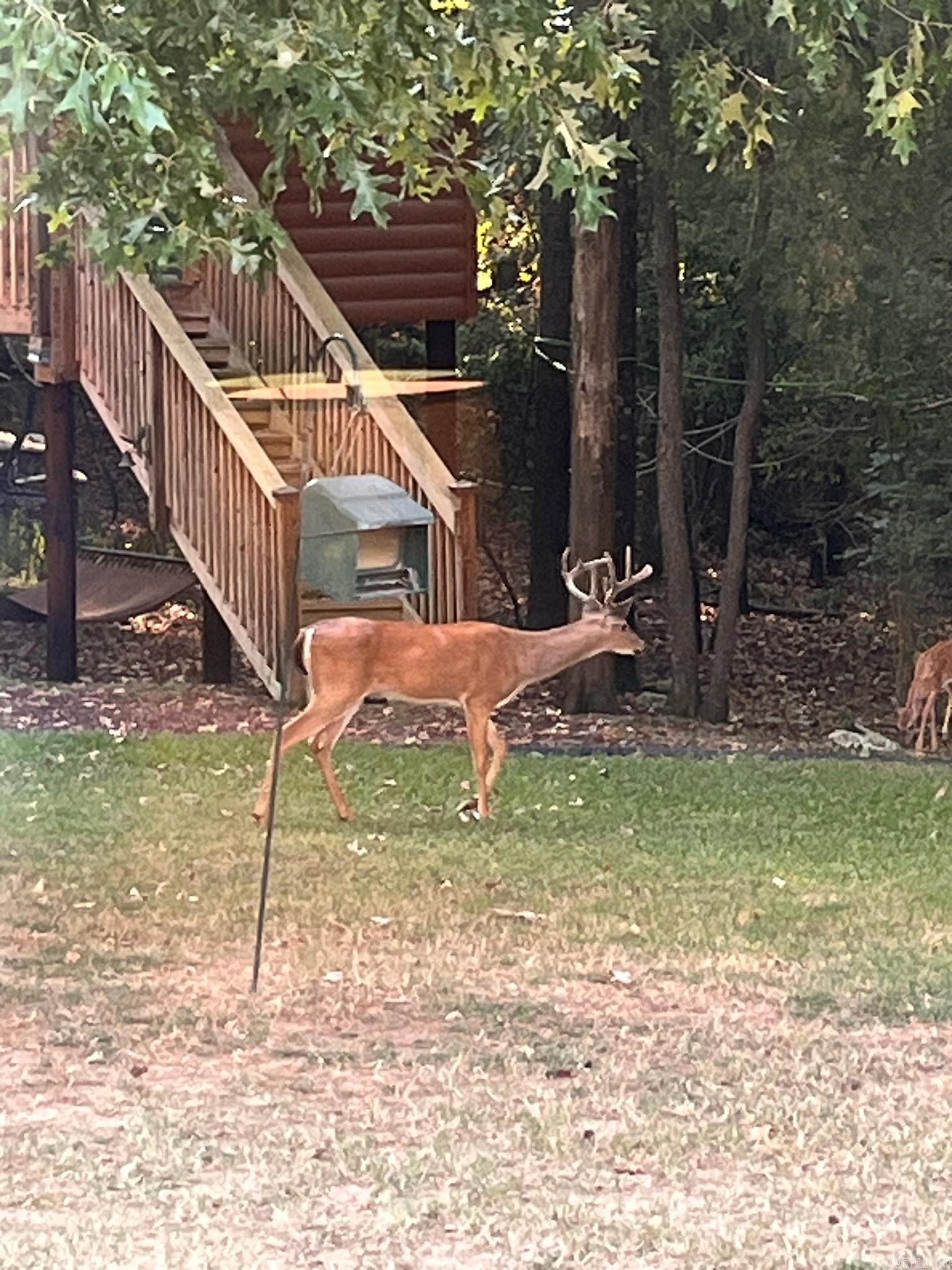 71 Greene 648 Road  Paragould, AR