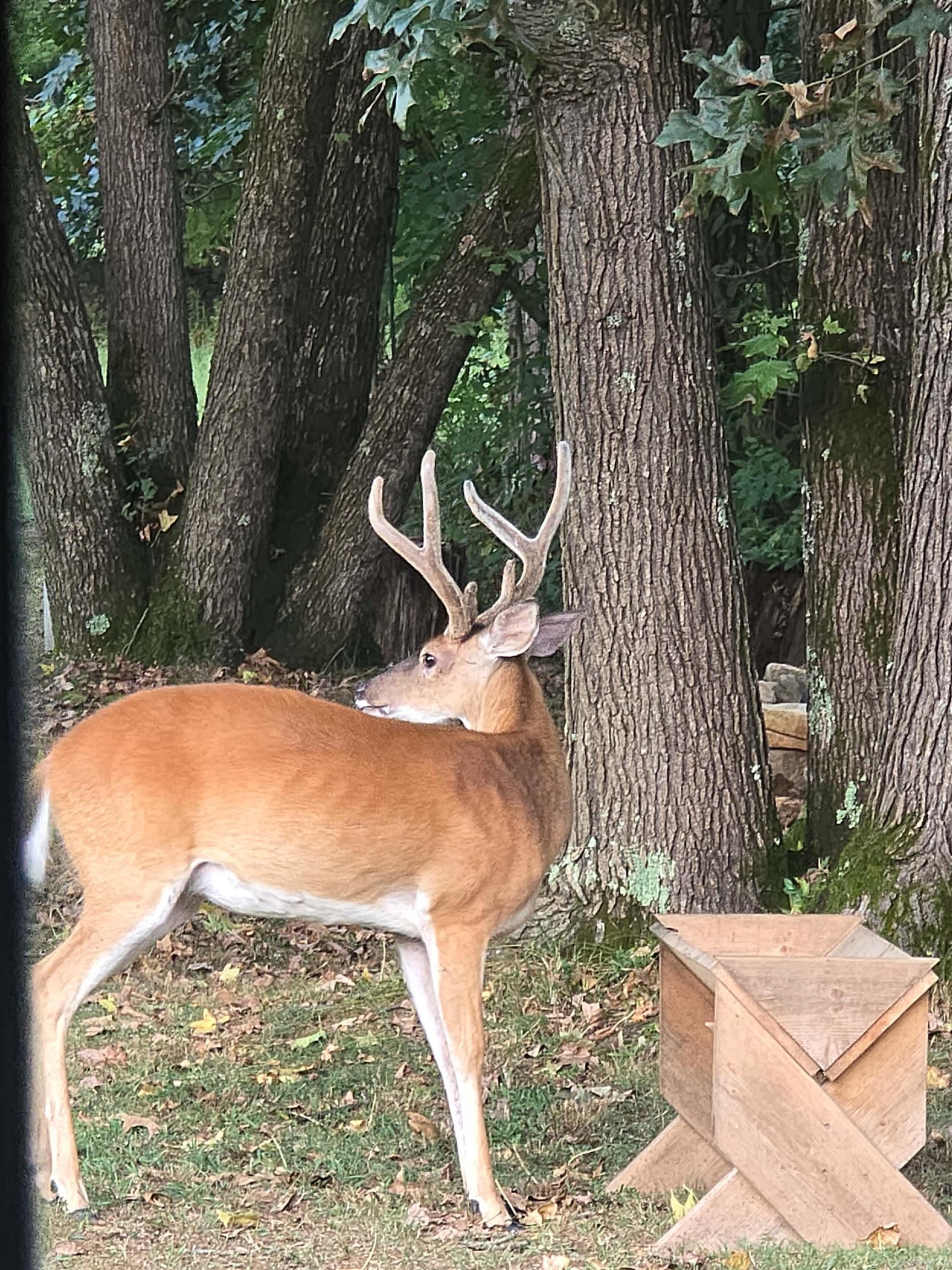 71 Greene 648 Road  Paragould, AR