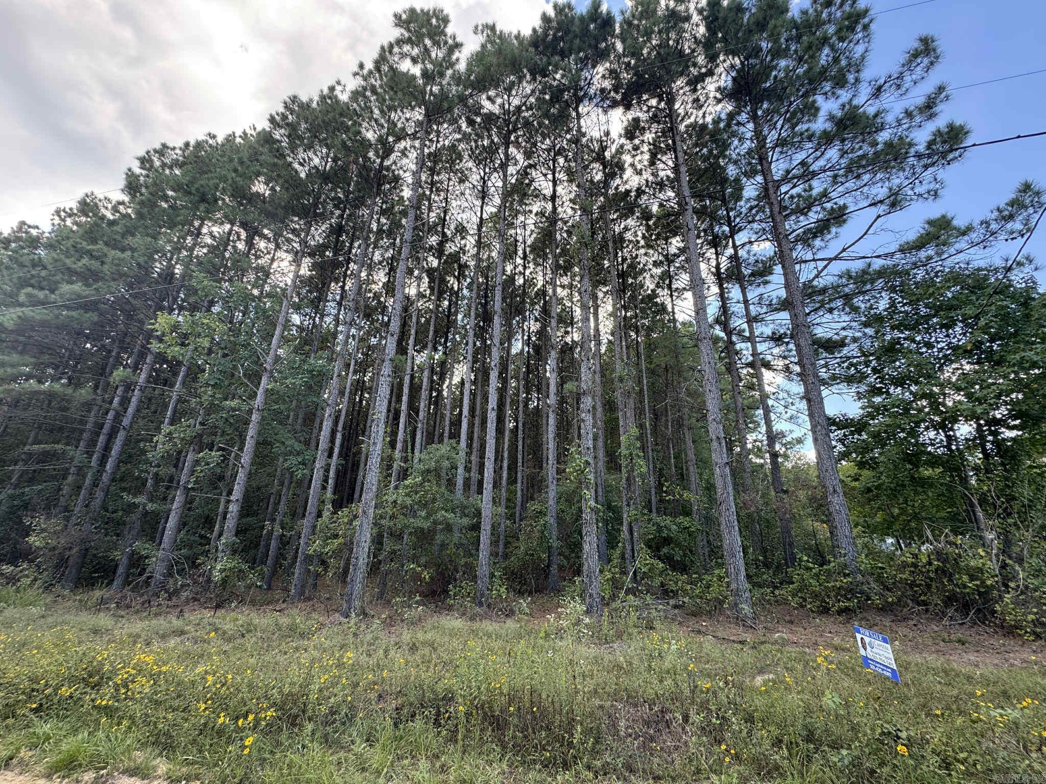 7214 Jericho  Pine Bluff, AR