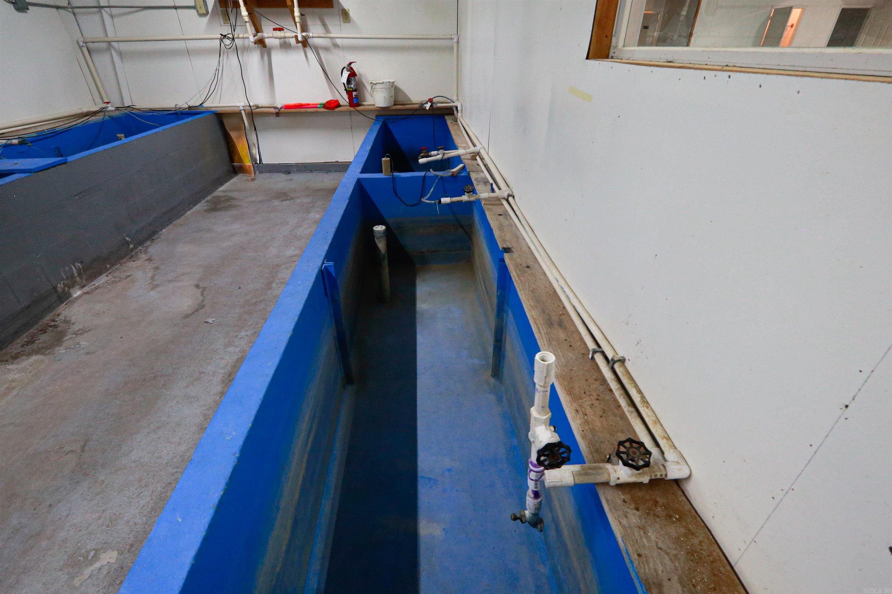 4307 Highway 270  Mount Ida, AR