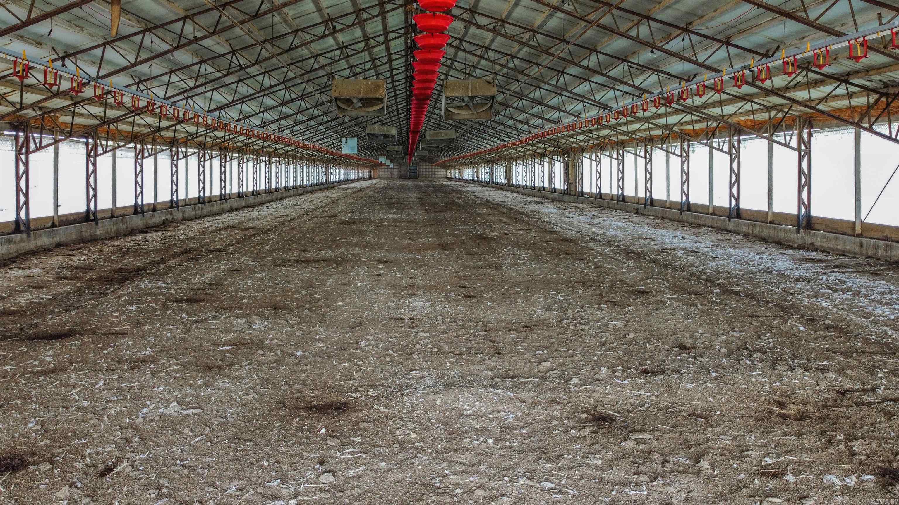 1941 MC 5002  Yellville, AR