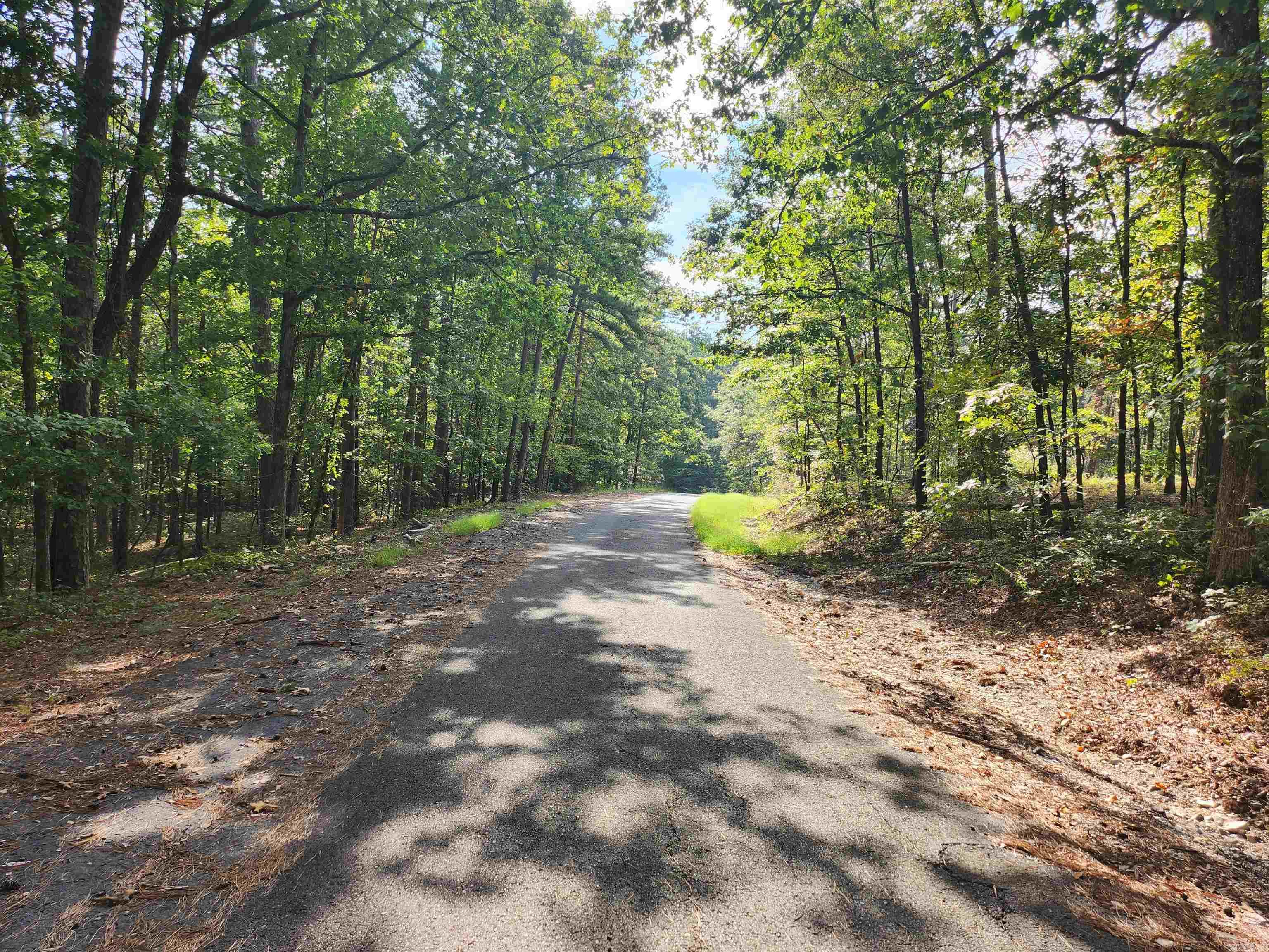 65 Extrano  Hot Springs Village, AR