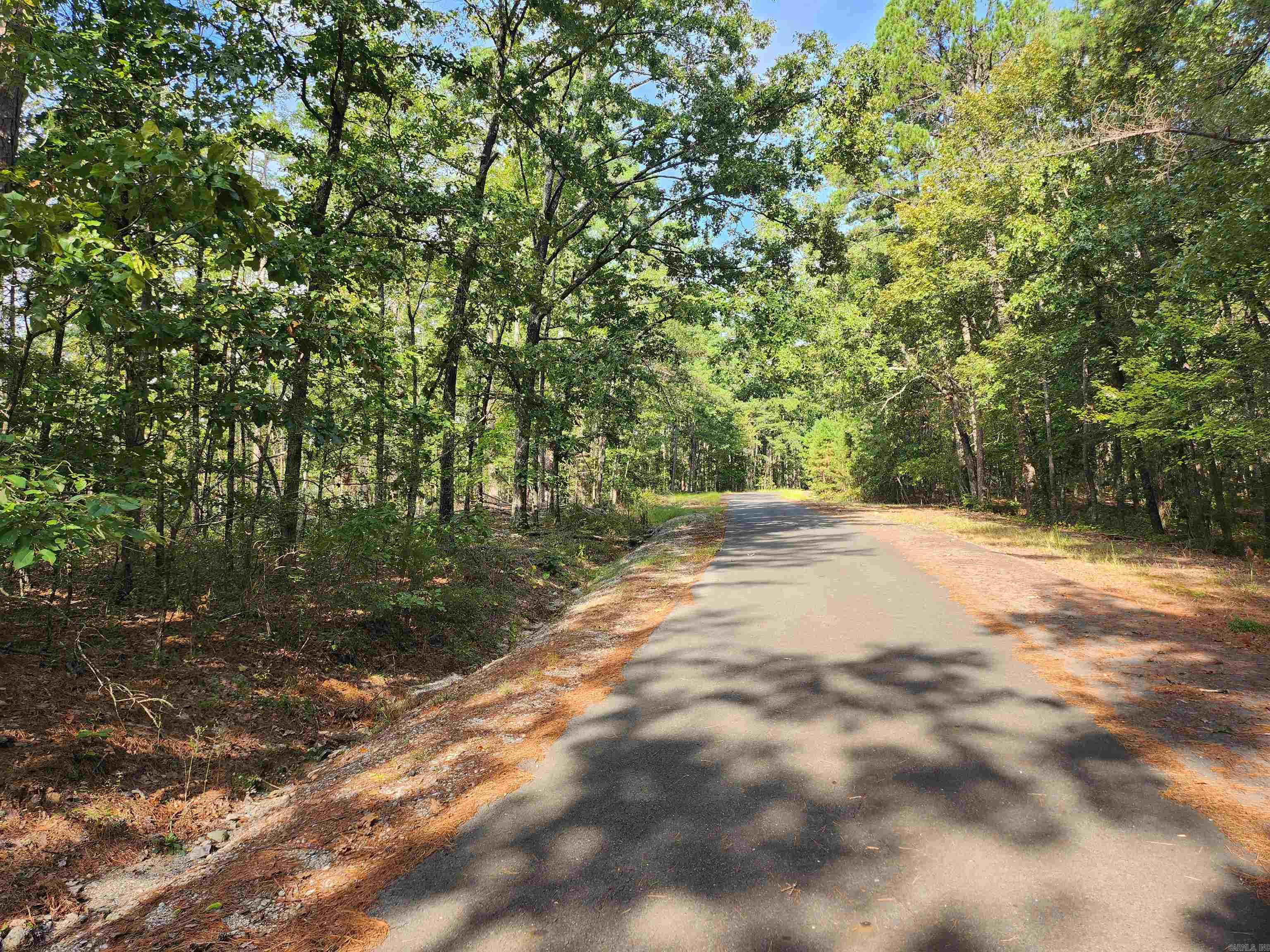 65 Extrano  Hot Springs Village, AR