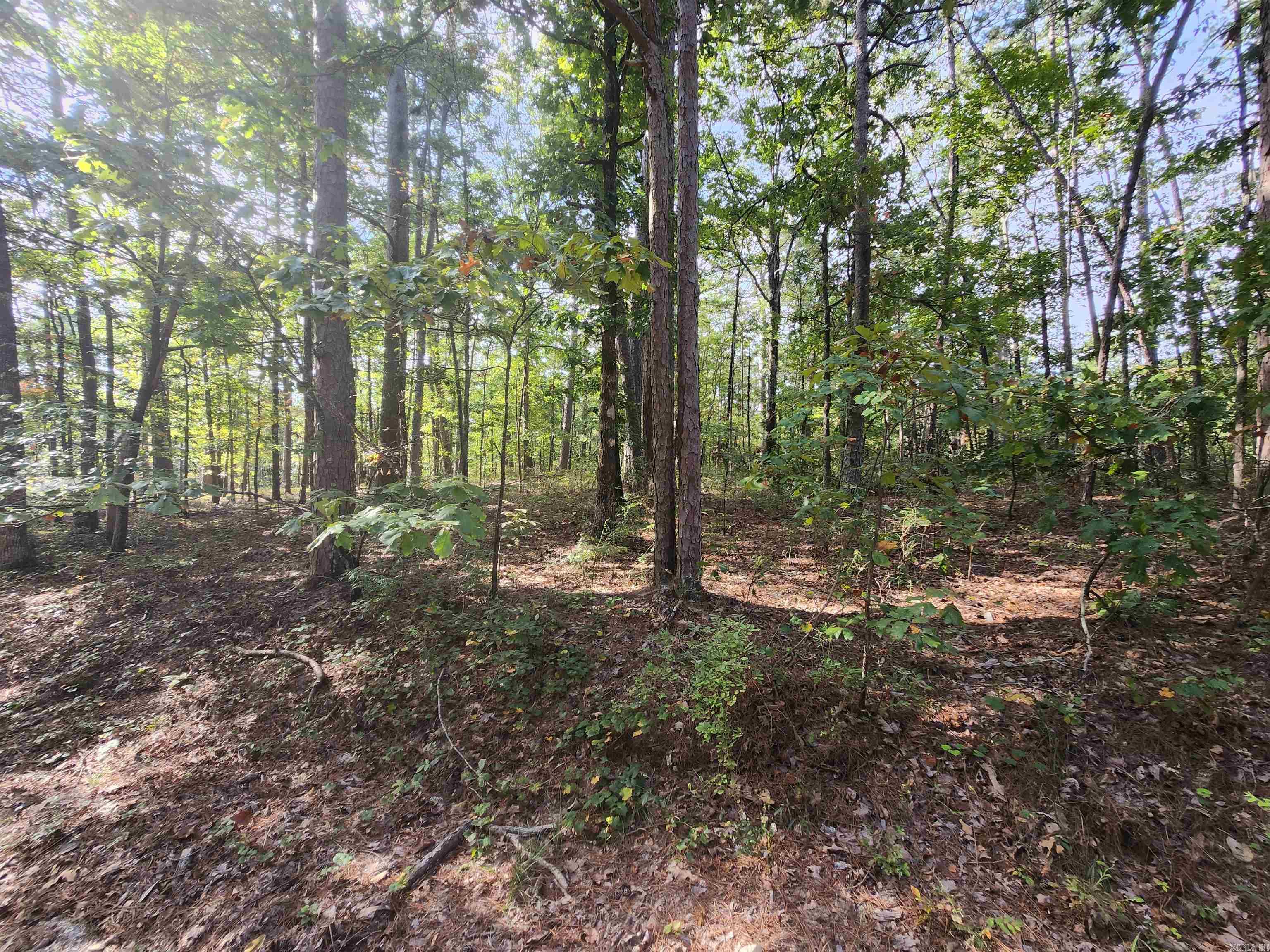  Quijote  Hot Springs Village, AR