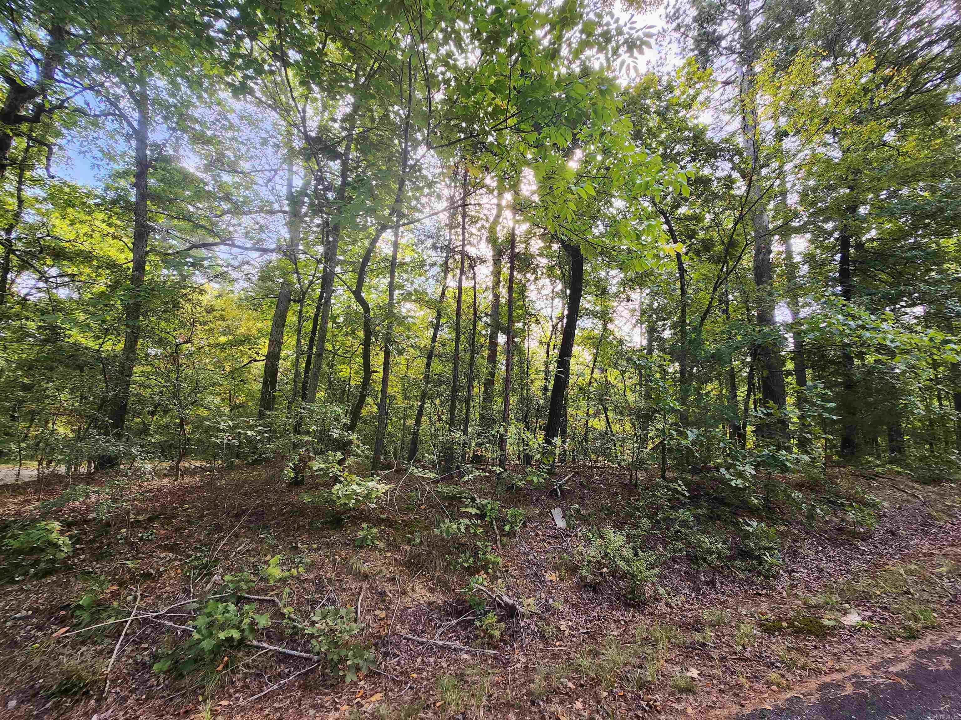  Quijote  Hot Springs Village, AR