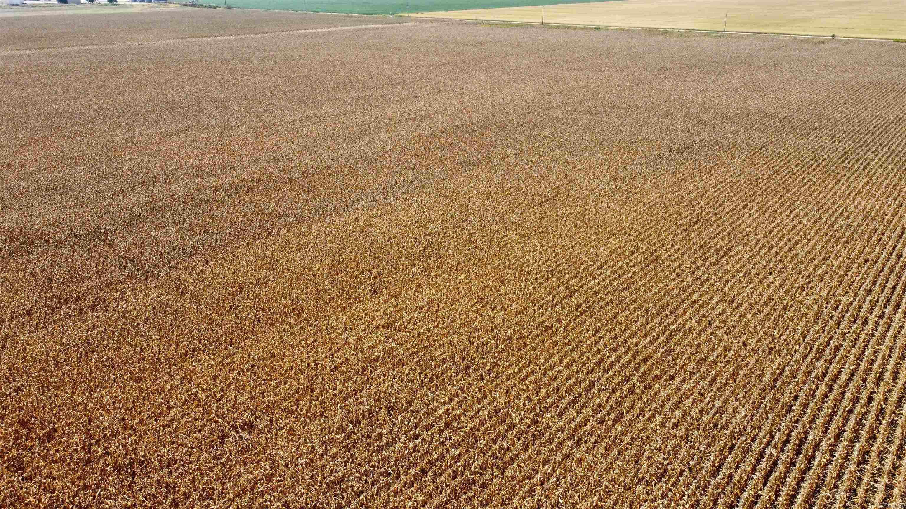 0 N CR 123  Corning, AR