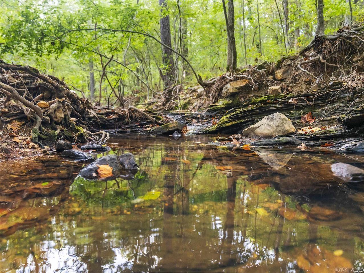 217 Wildflower  Hot Springs, AR