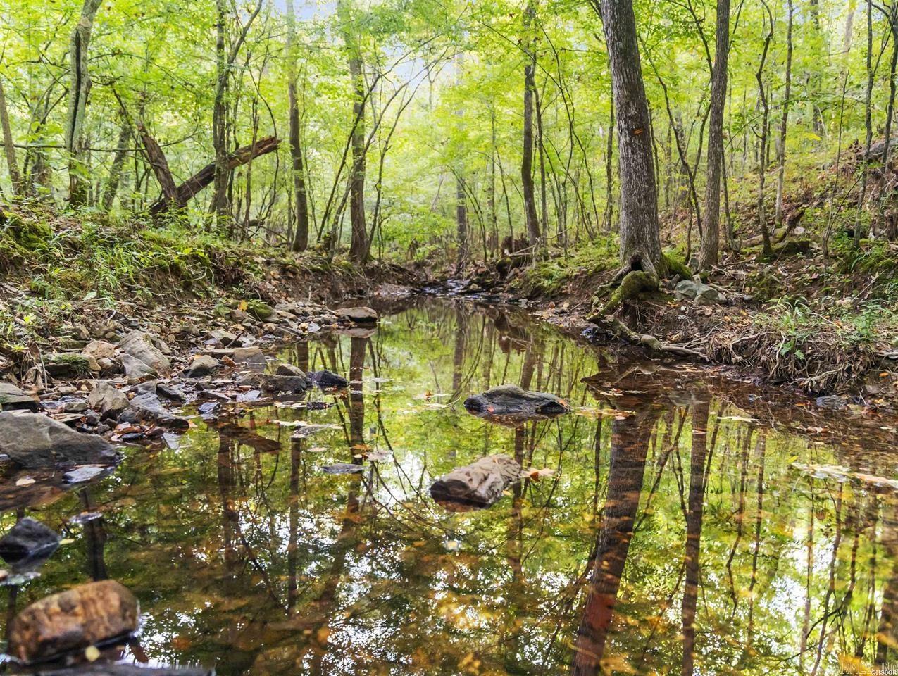 217 Wildflower  Hot Springs, AR