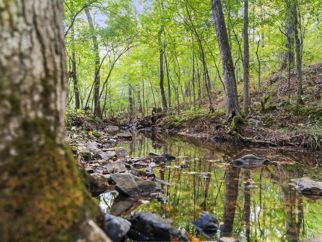 217 Wildflower  Hot Springs, AR