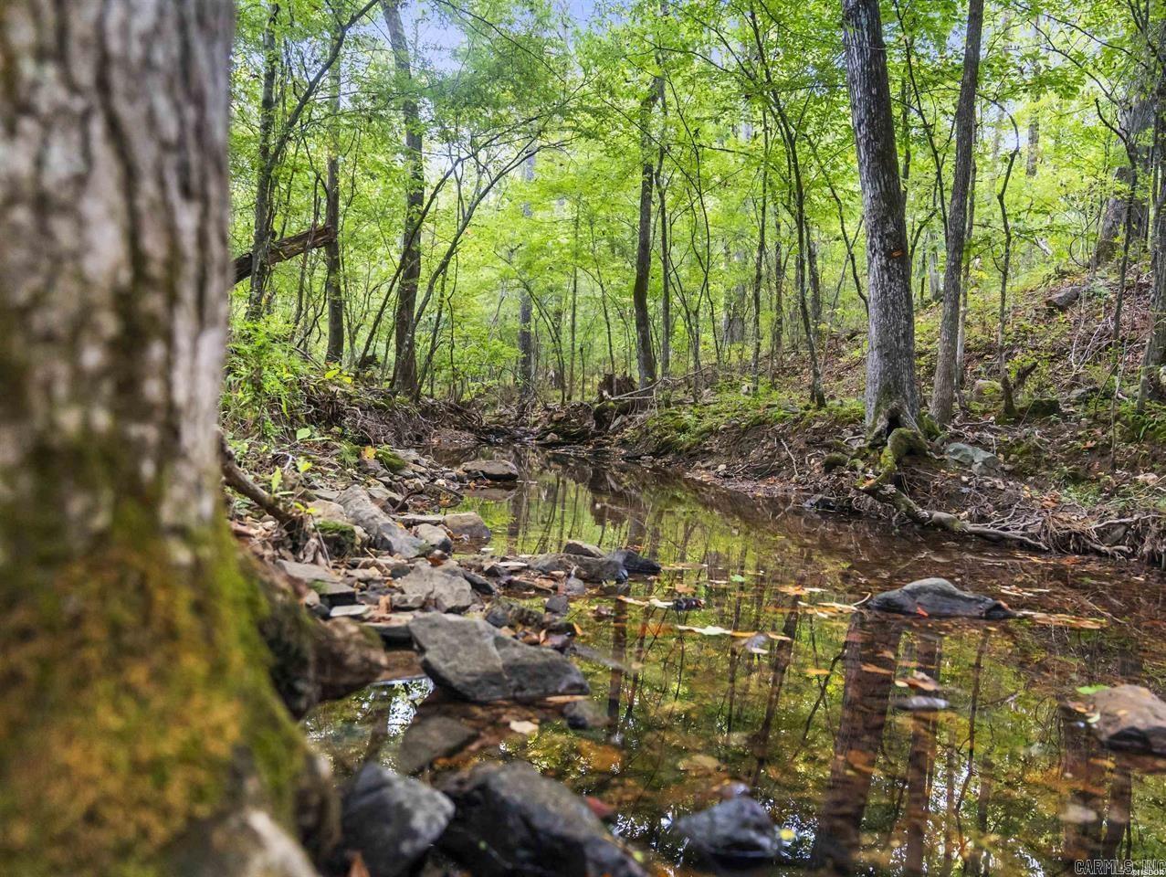 217 Wildflower  Hot Springs, AR