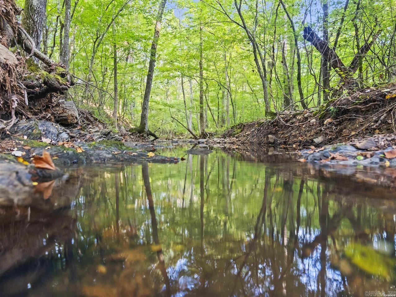 217 Wildflower  Hot Springs, AR