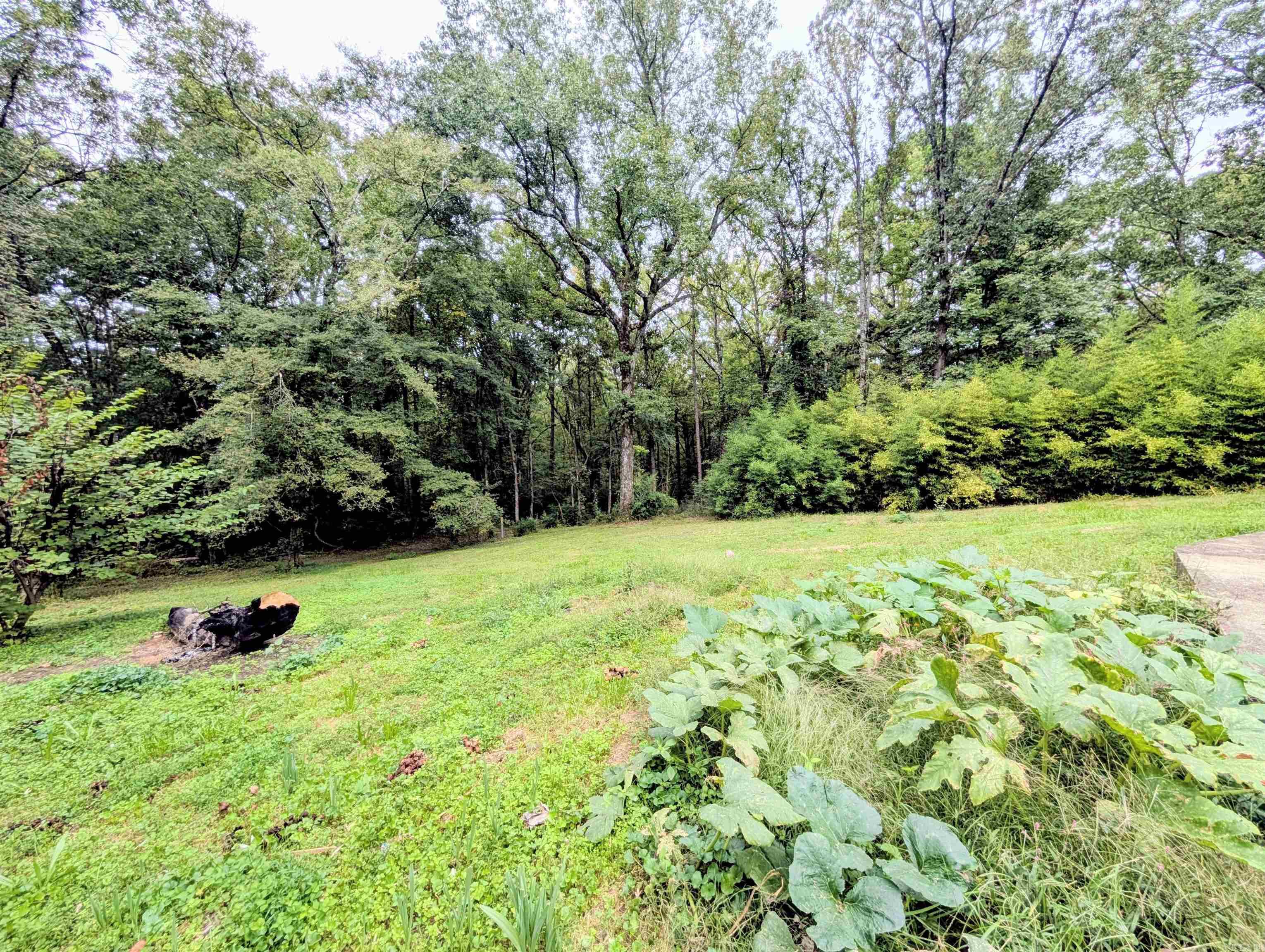 150 Polk Road 125  Mena, AR