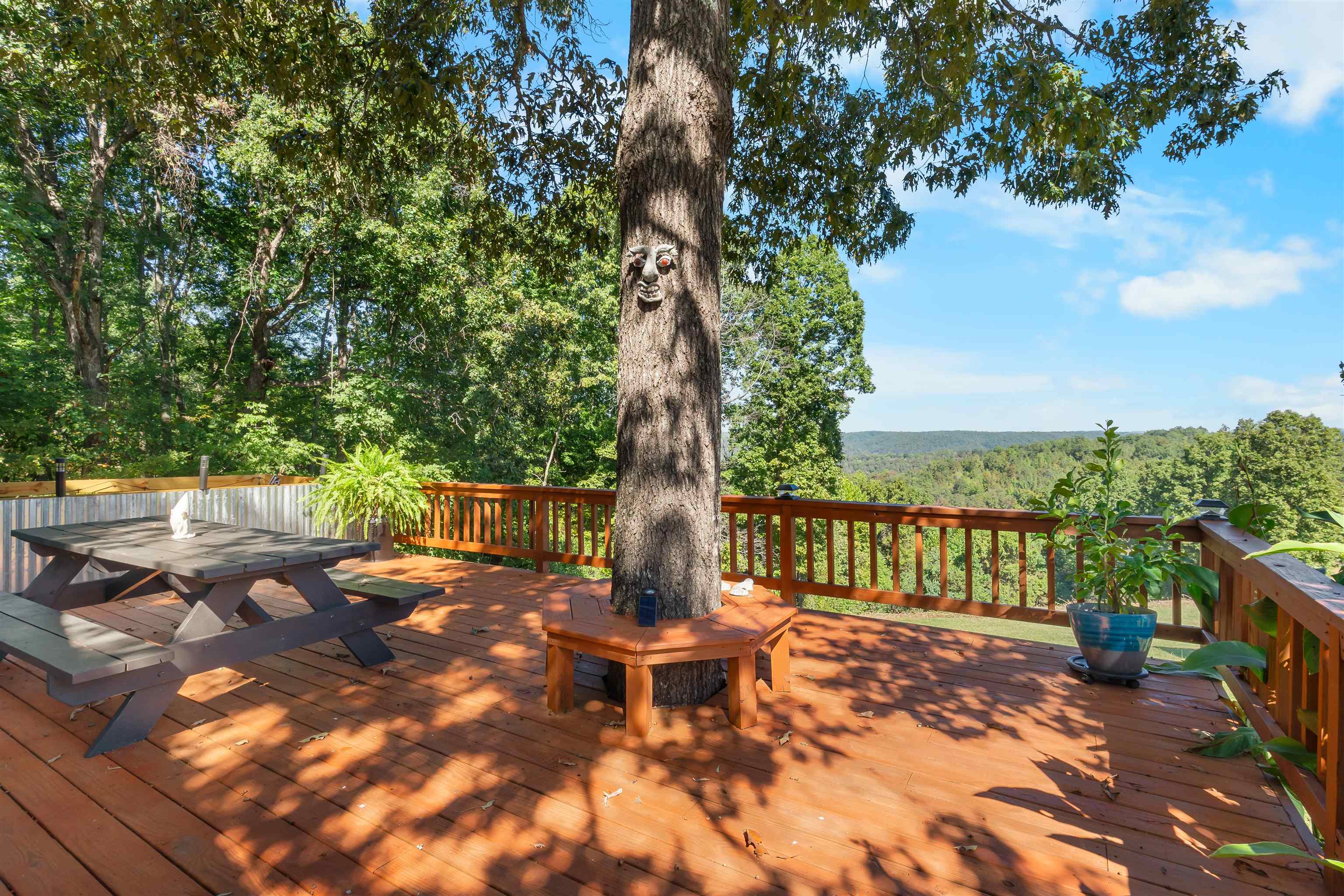 3481 Hwy 87  Mountain View, AR