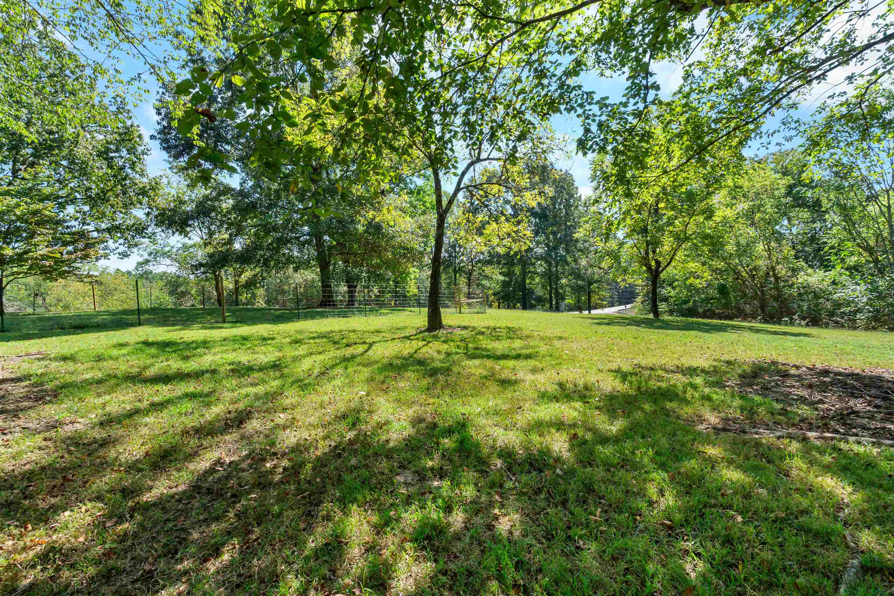 3481 Hwy 87  Mountain View, AR