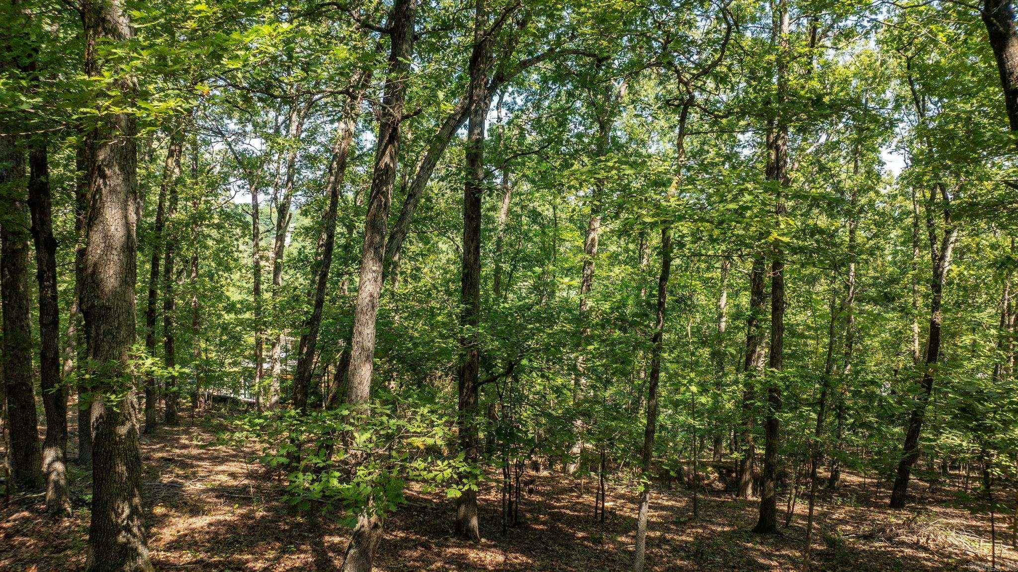 13704 Saddle Hill  Little Rock, AR