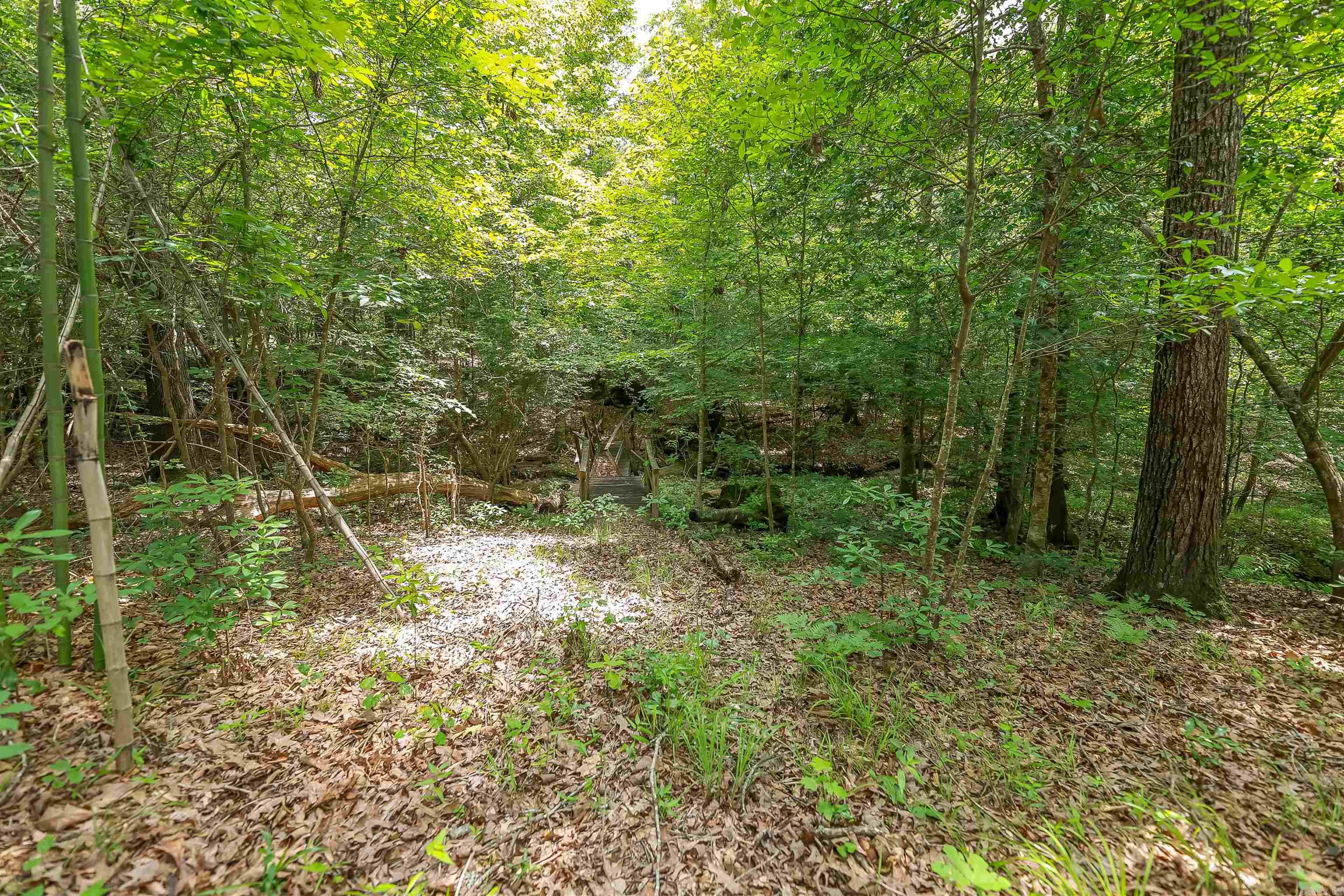 24 Chaffee Creek Trl  Camden, AR
