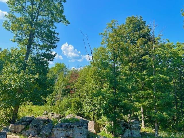 1334 Sutterfield  Fox, AR