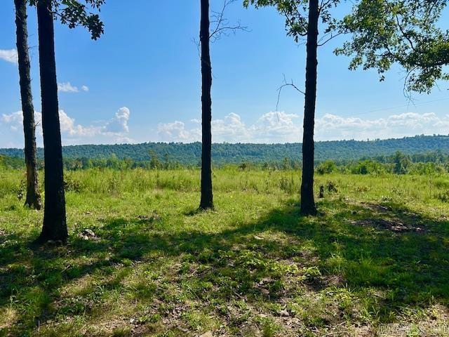 1334 Sutterfield  Fox, AR