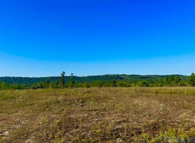 00 Sutterfield  Fox, AR