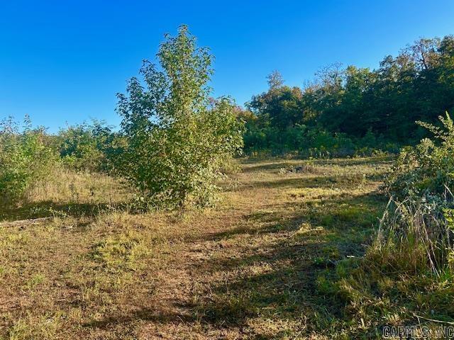 00 Sutterfield  Fox, AR