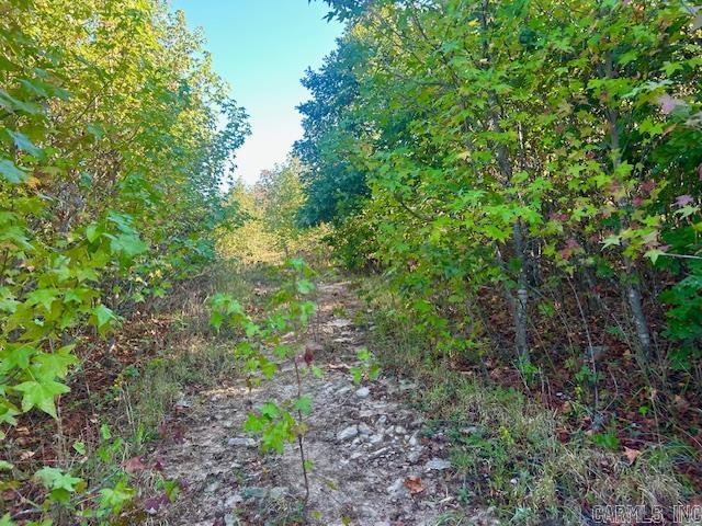 00 Sutterfield  Fox, AR