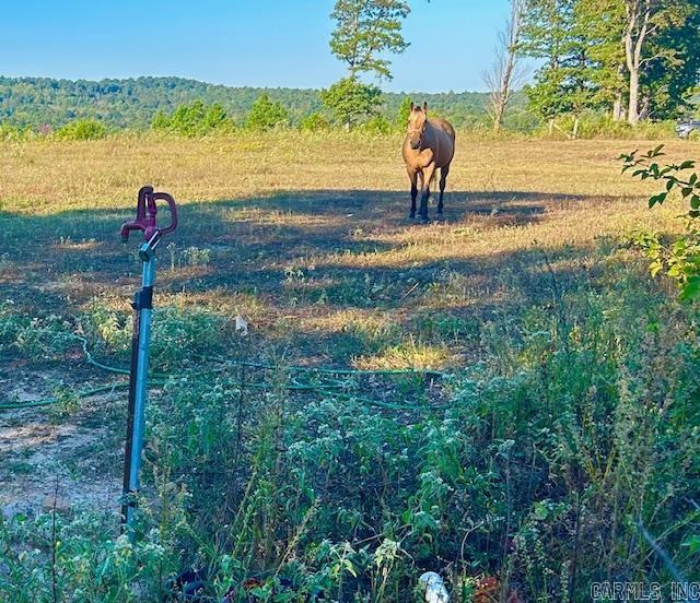 00 Sutterfield  Fox, AR