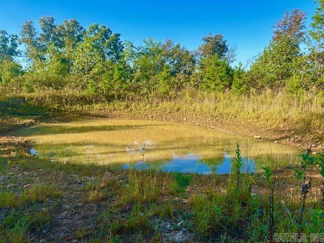 00 Sutterfield  Fox, AR