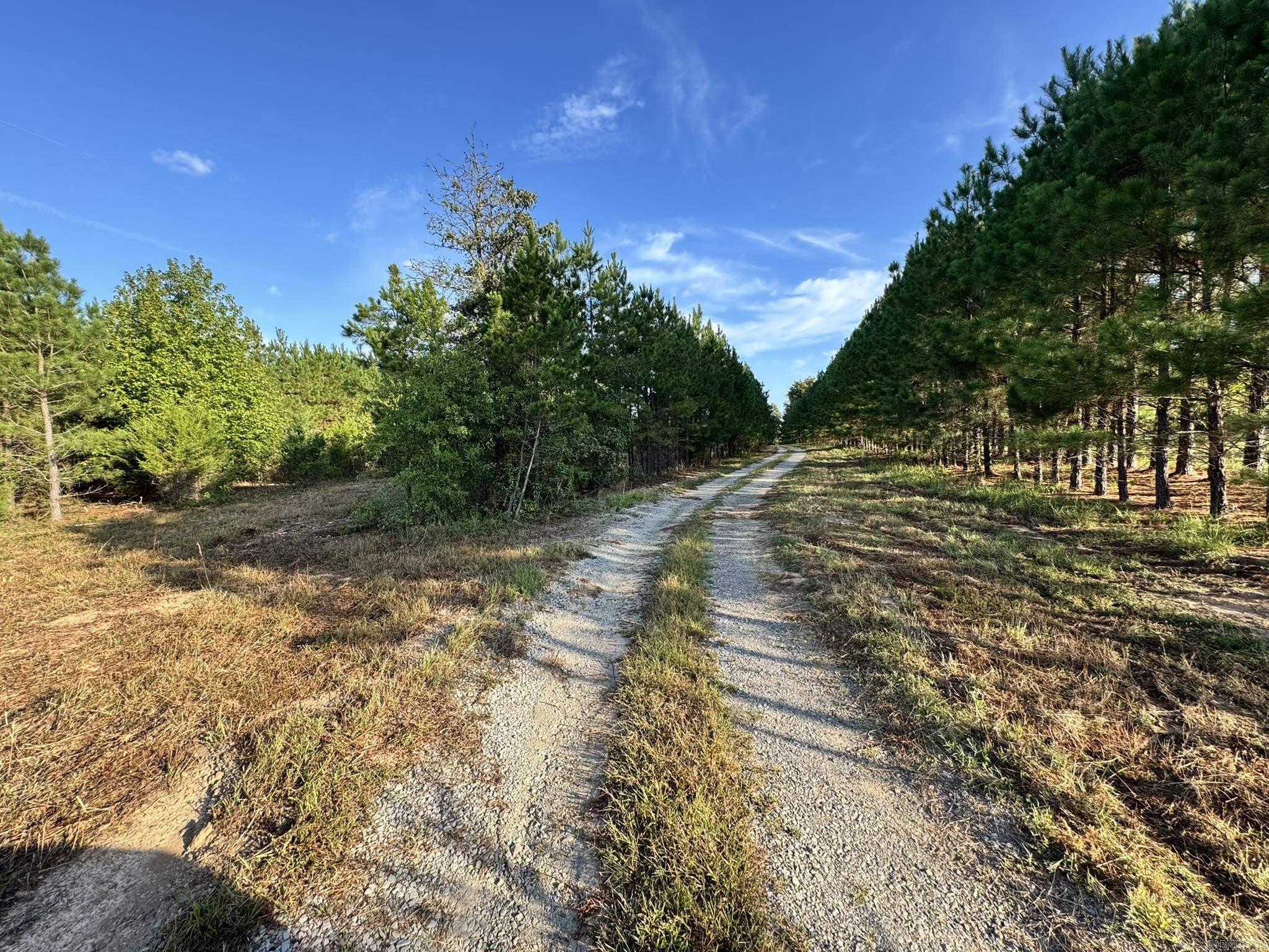 116 Cardin  Enola, AR