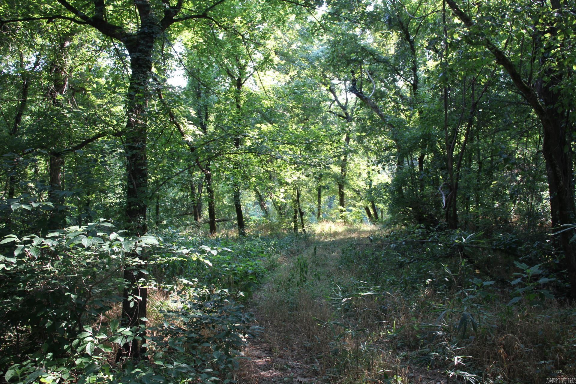 001-07419-000 MC 4003  Yellville, AR