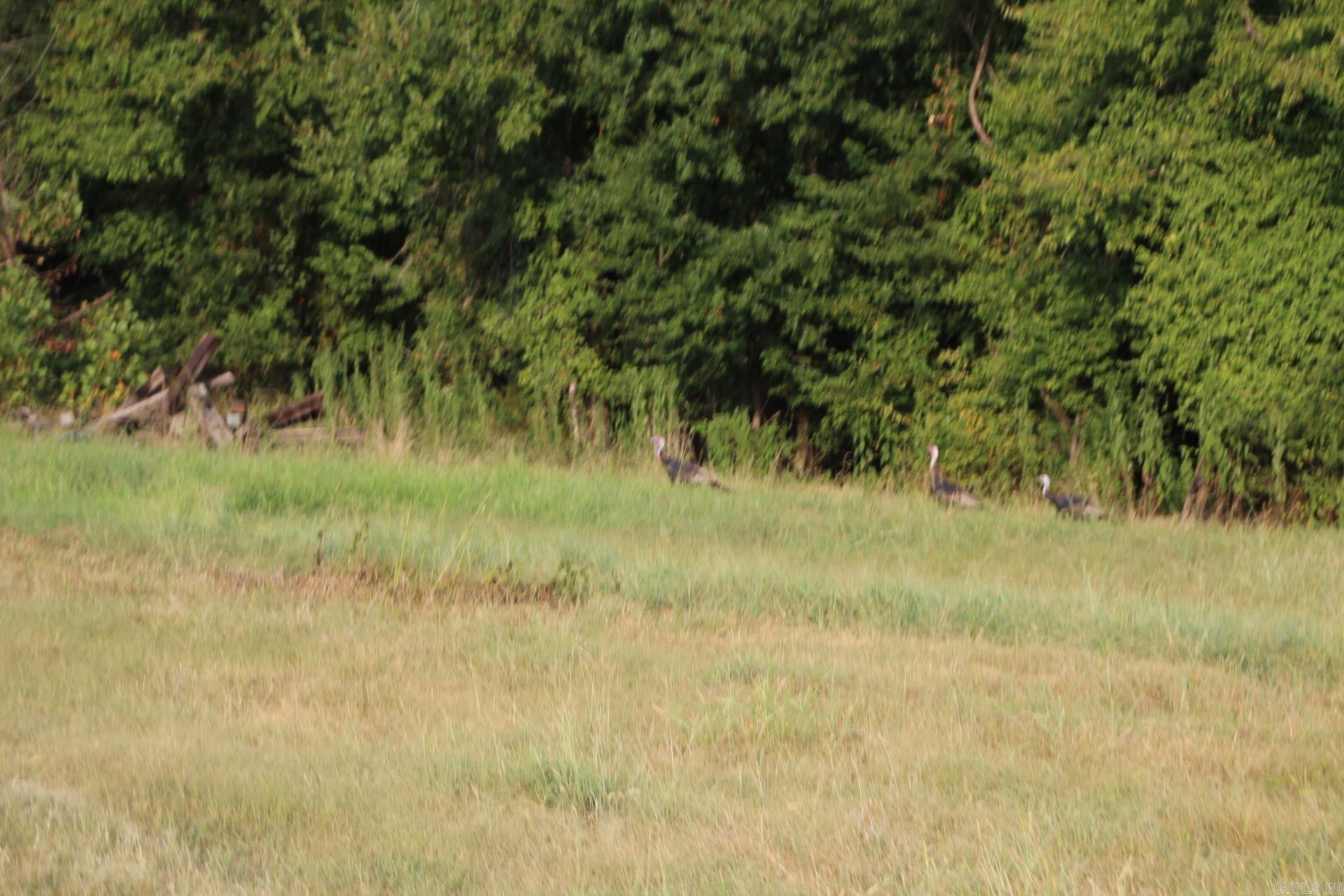 001-07419-000 MC 4003  Yellville, AR