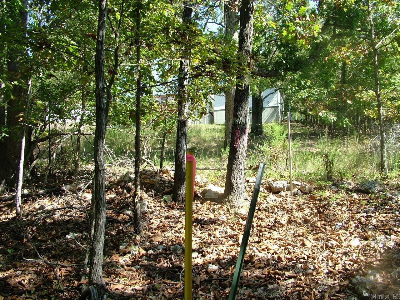 Tract A Rocky Ridge  Mountain Home, AR