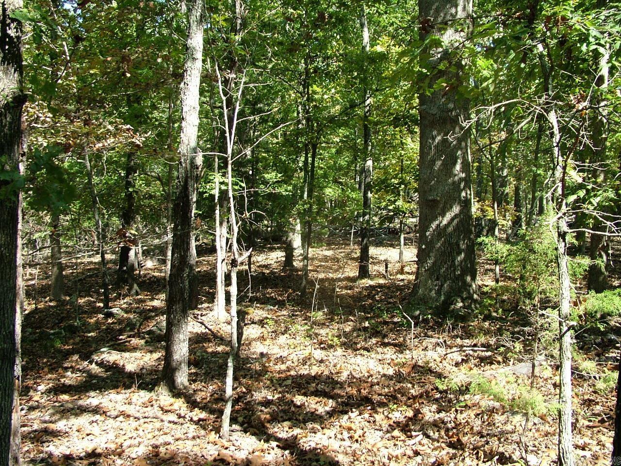 Tract A Rocky Ridge  Mountain Home, AR