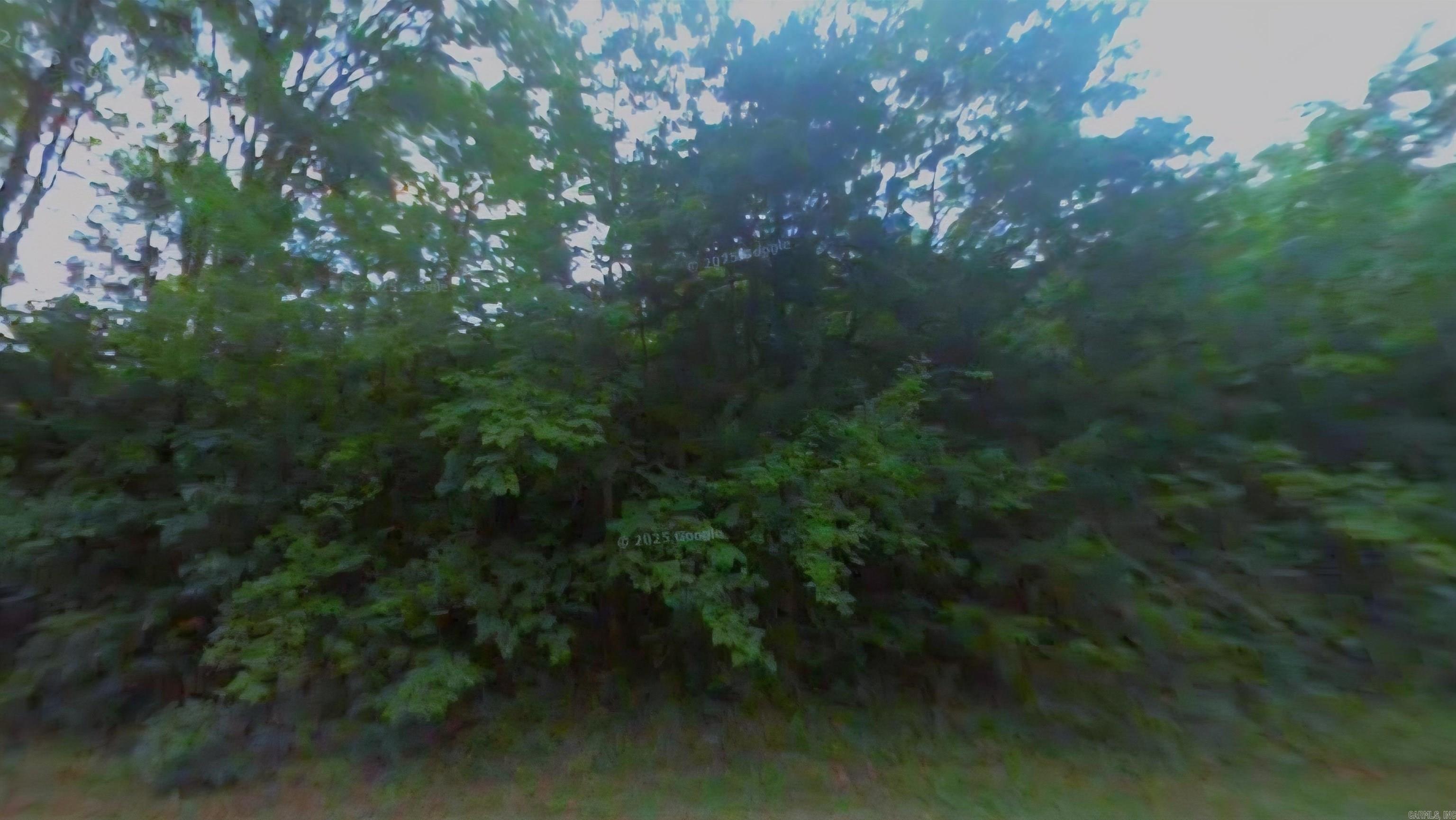 Lot 1 Hempstead 197  Saratoga, AR
