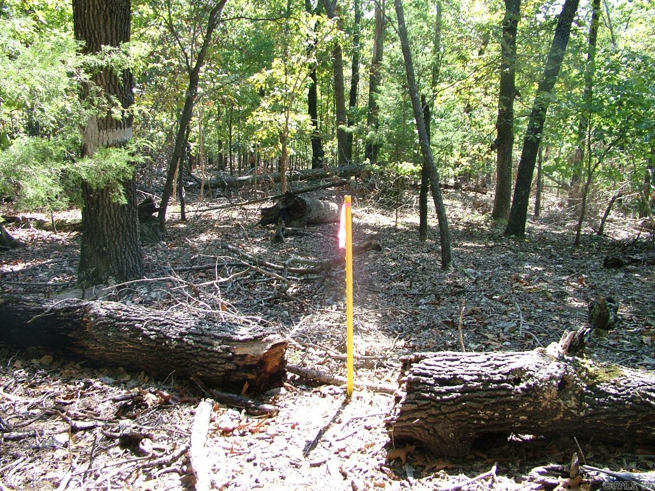 Tract B Rocky Ridge  Mountain Home, AR