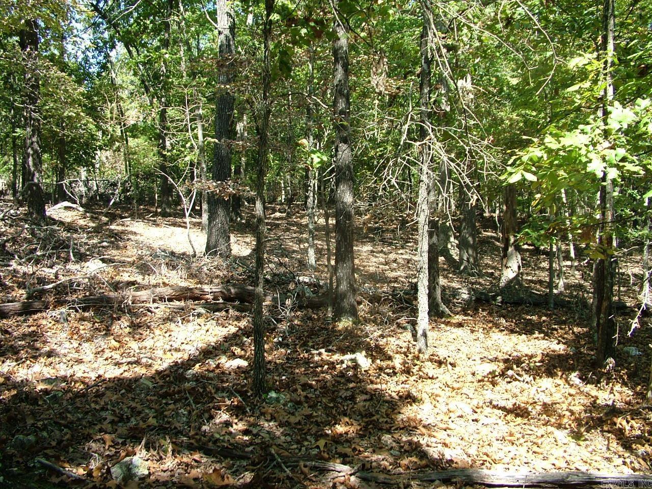 Tract C Rocky Ridge  Mountain Home, AR