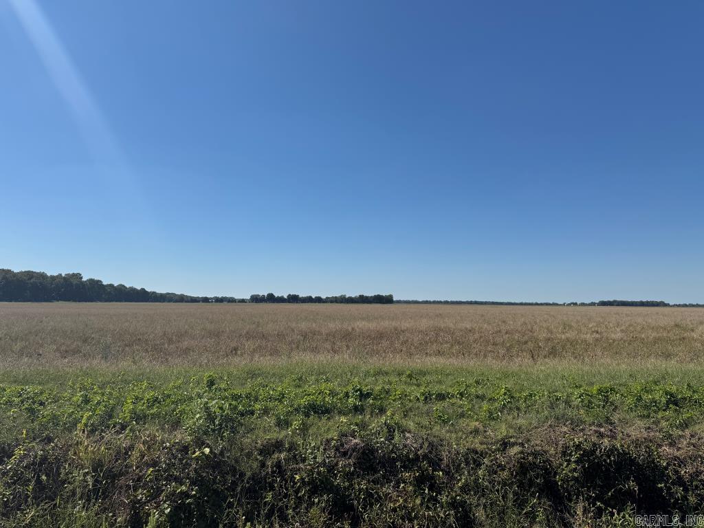 619 acres Flag Slough Lane  Weiner, AR