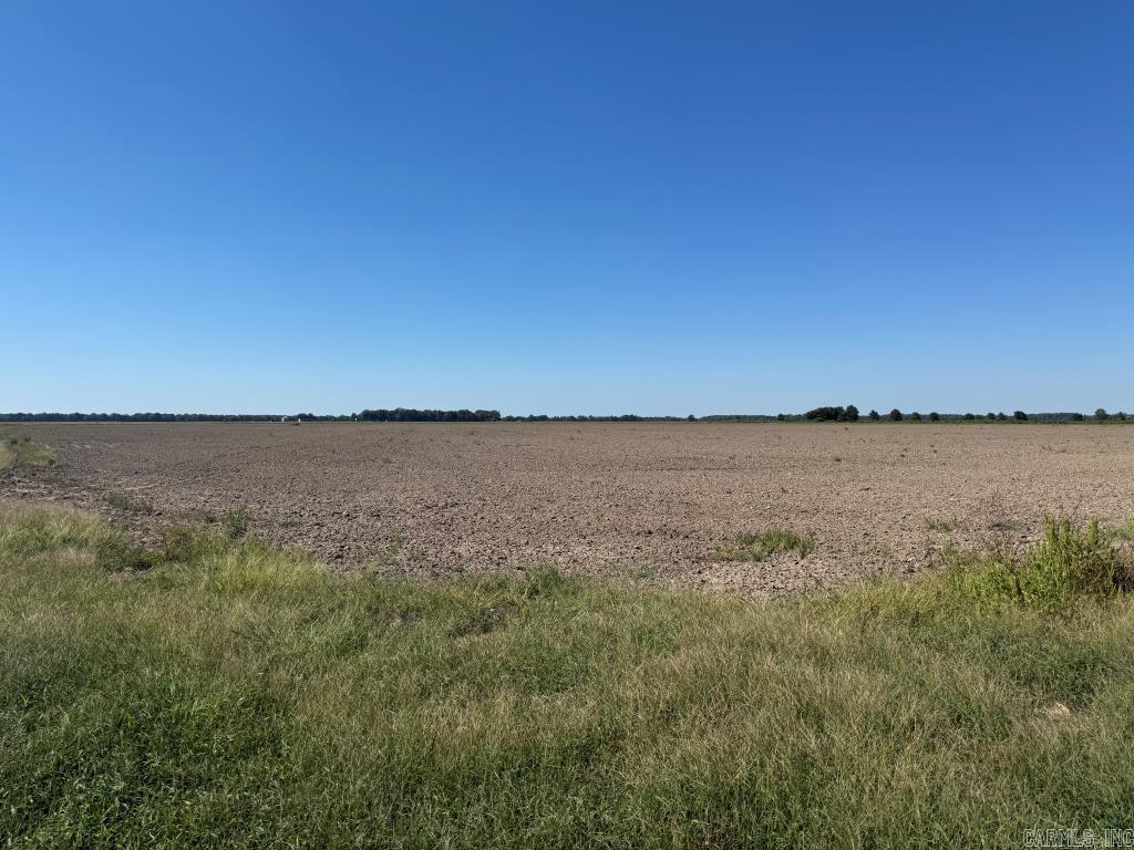 619 acres Flag Slough Lane  Weiner, AR