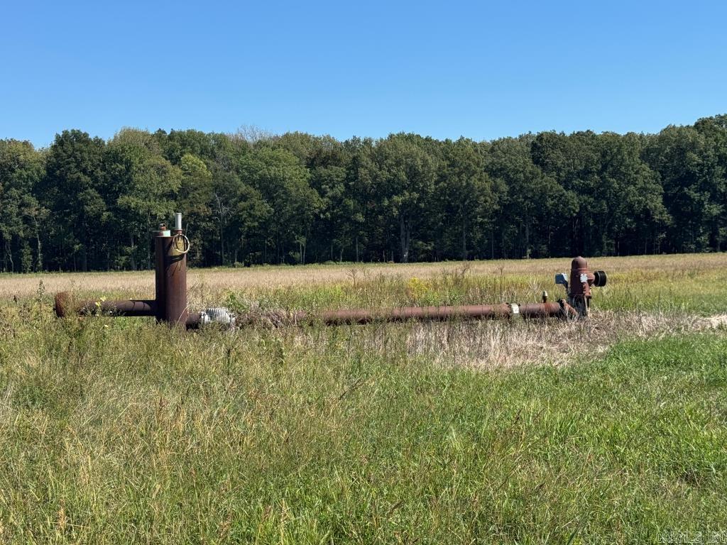 619 acres Flag Slough Lane  Weiner, AR
