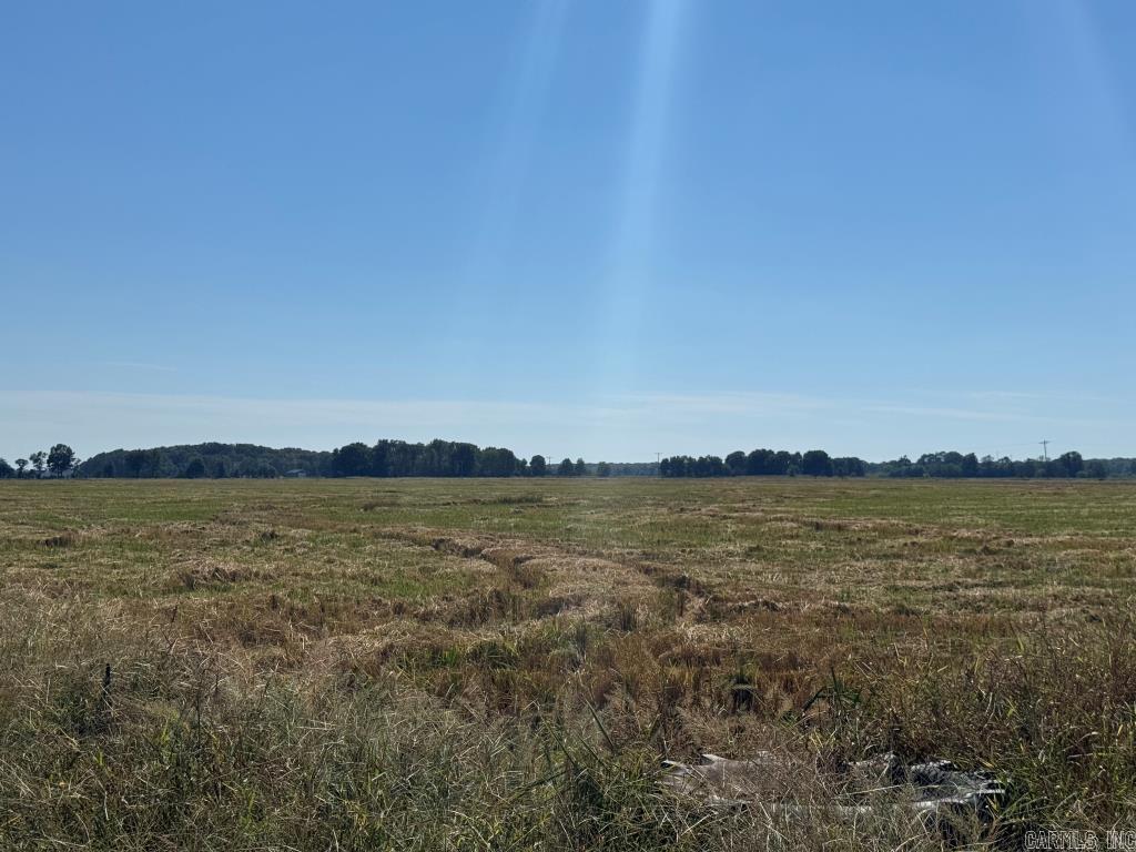 619 acres Flag Slough Lane  Weiner, AR