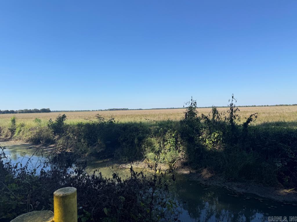 619 acres Flag Slough Lane  Weiner, AR